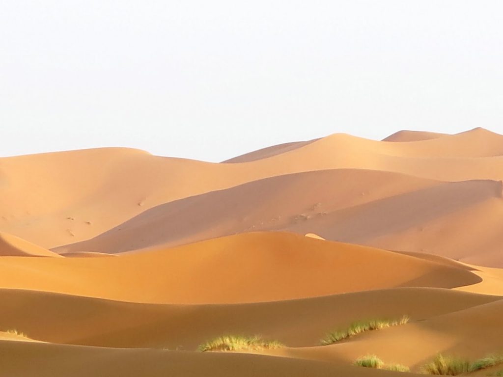 Sahara, Maroc