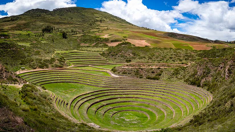 Moray