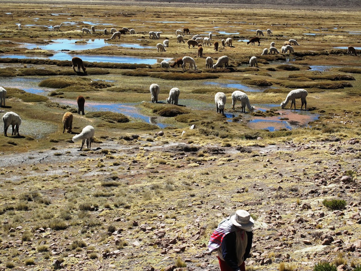 Peru